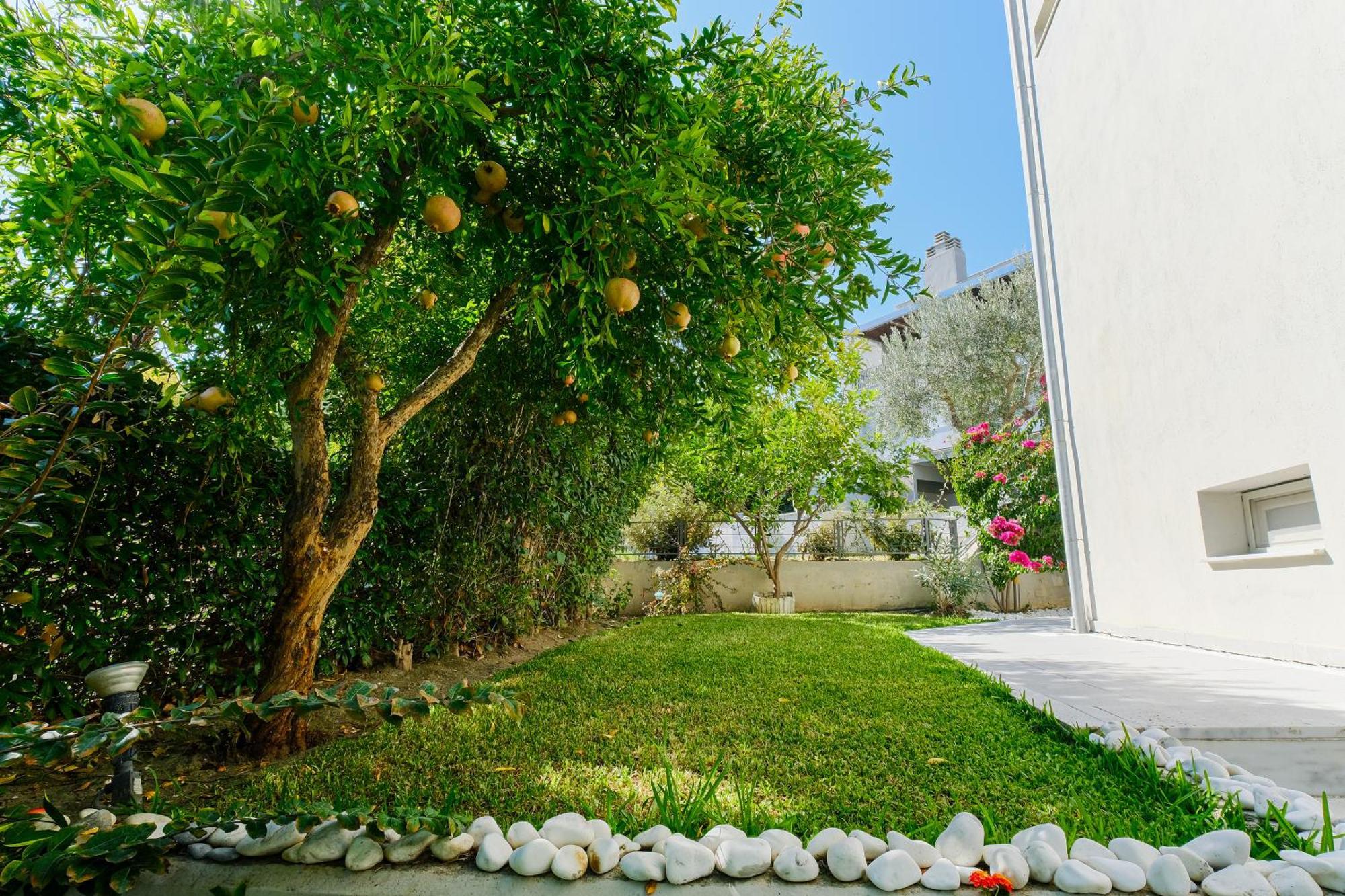 פאליאורי Deluxe Chrousso Pool Villa מראה חיצוני תמונה